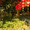 西藏网友73734