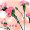 海南网友16632