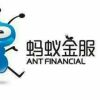 澳门网友79901