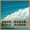 山东网友80373