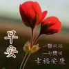 四川网友73184