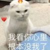 湖南网友44062