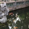 重庆网友59385