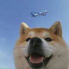 QQ头像