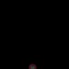 天津网友15556