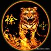 吉林网友34937