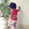 广东网友94173