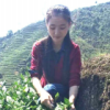 海南网友67425