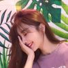 甘肃网友12980