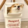 陕西网友30597