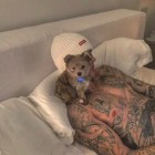 QQ头像