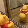 云南网友43647