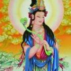 QQ头像
