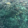 云南网友96736