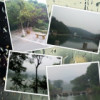 重庆网友12705