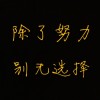 海南网友70290