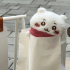 QQ头像