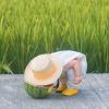 青海网友44256