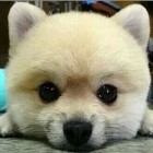 QQ头像