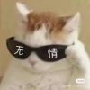 湖南网友55629