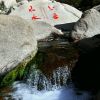 西藏网友81786
