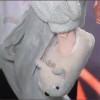 山东网友83499