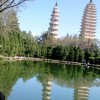 广东网友98985