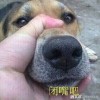 湖北网友94388