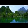 湖北网友35460