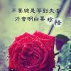 西藏网友18670