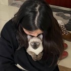 QQ头像