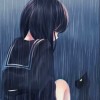 上海网友78006