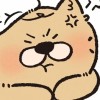 山西网友15795