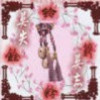 澳门网友56849