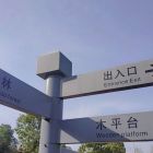 QQ头像