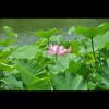 黑龙江网友74508