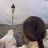 云南网友58260