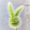 江西网友80187