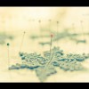 澳门网友36476