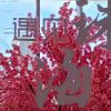 澳门网友78885
