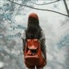河南网友30679