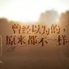河南网友73867