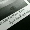 天津网友71723