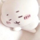 QQ头像