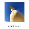 广西网友22084