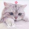 上海网友27826