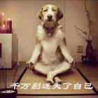 QQ头像