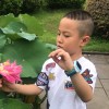 西藏网友97640