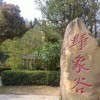 江西网友32440