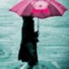 新疆网友10402